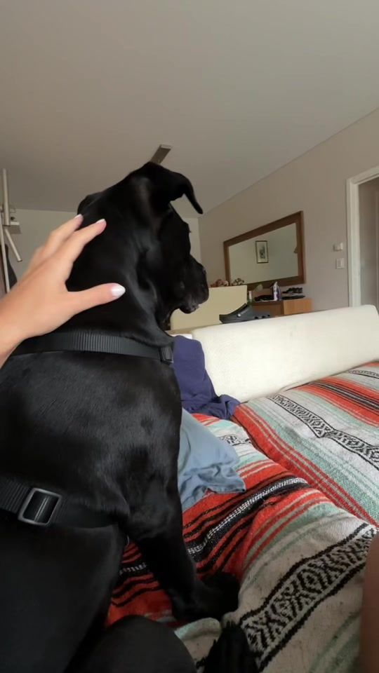 TikTok video thumbnail by amiluchetta