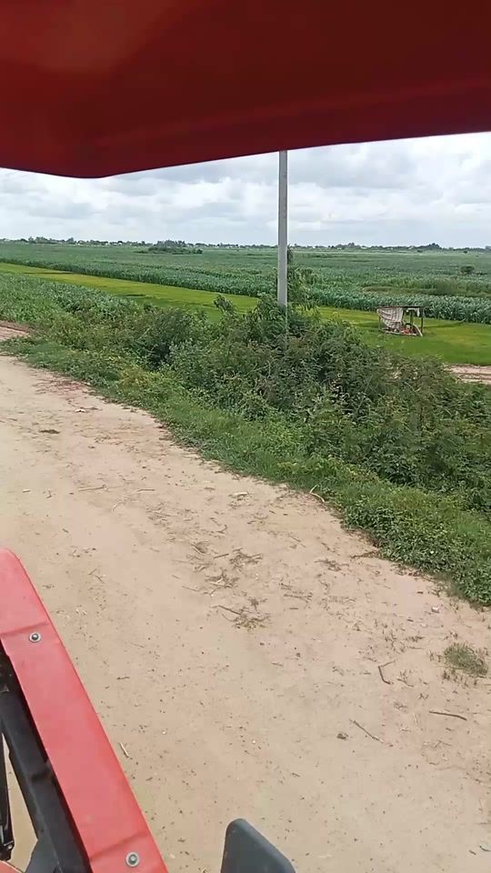 TikTok video thumbnail by netzin1122