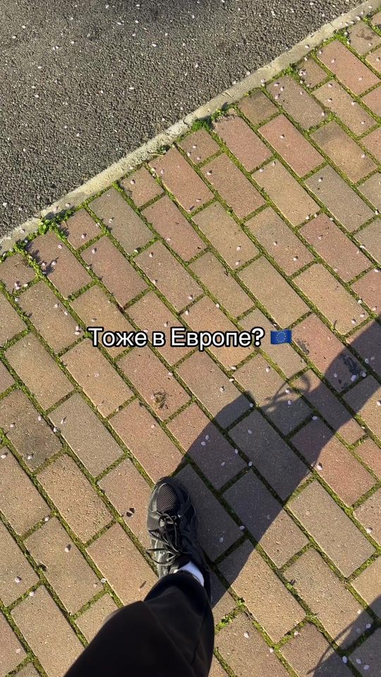 TikTok video thumbnail by nikitussnc