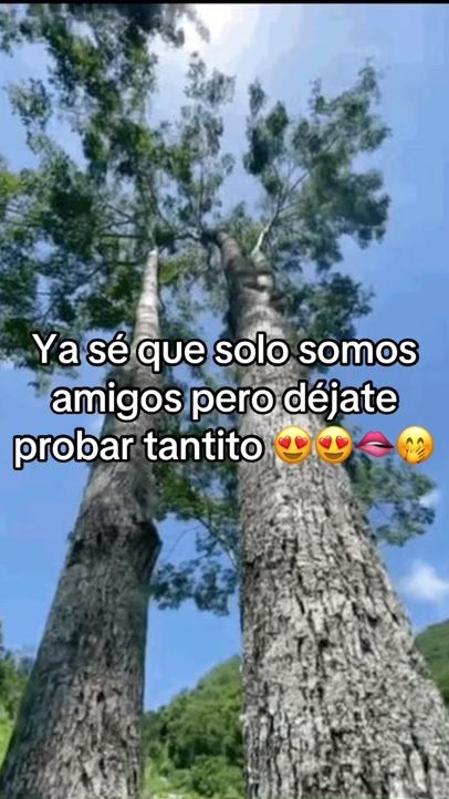 TikTok video thumbnail by mayuco023