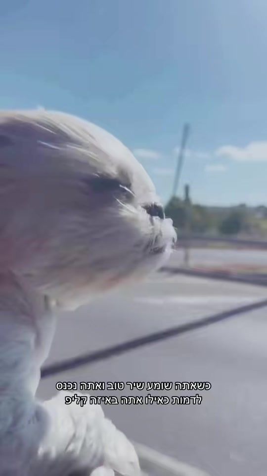 TikTok video thumbnail by dotandamti