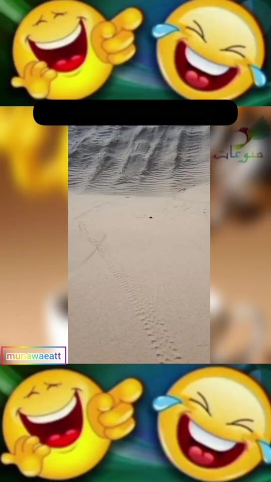 TikTok video thumbnail by munawaeatt