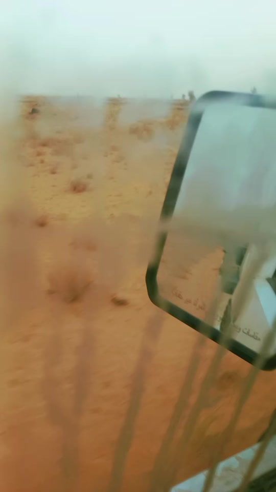 TikTok video thumbnail by gaidamy0016