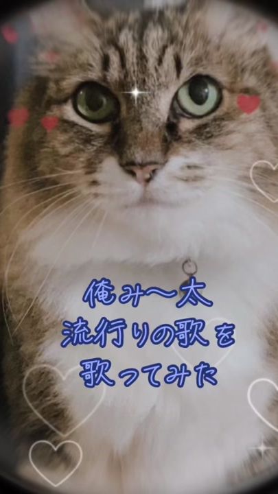 TikTok video thumbnail by shinonko
