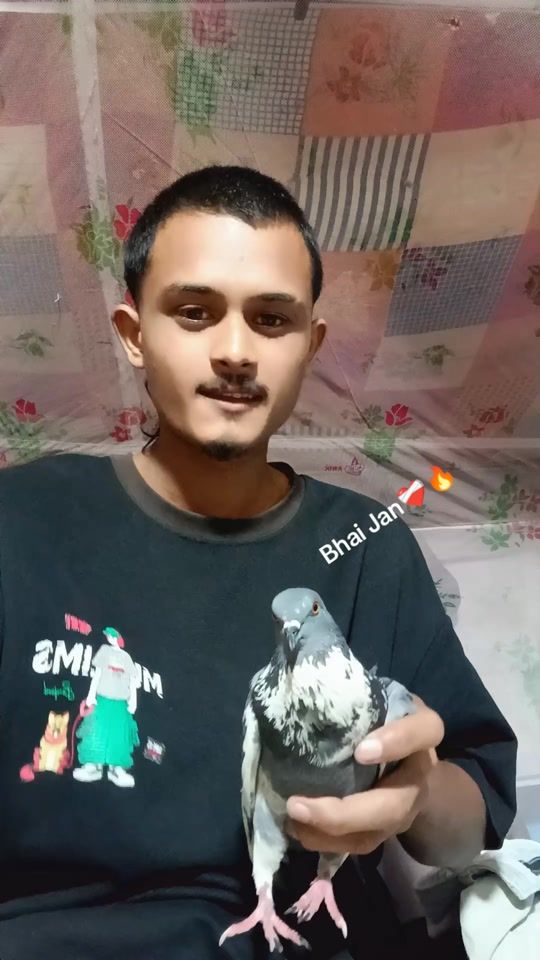 TikTok video thumbnail by abhiableshff