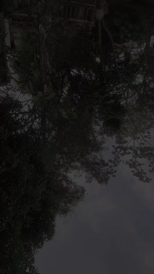 TikTok video thumbnail by cleymer5