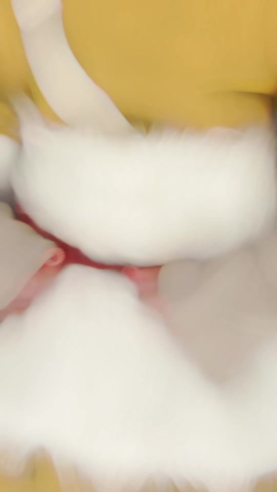 TikTok video thumbnail by ra__bits_