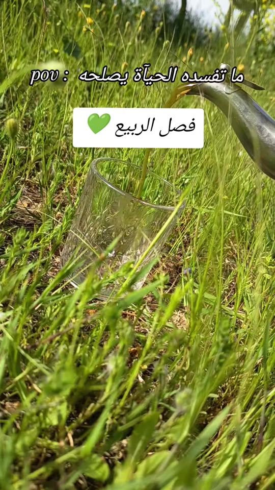 TikTok video thumbnail by doaaturk752
