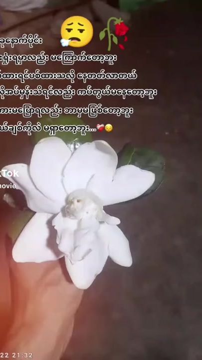 TikTok video thumbnail by kothar992