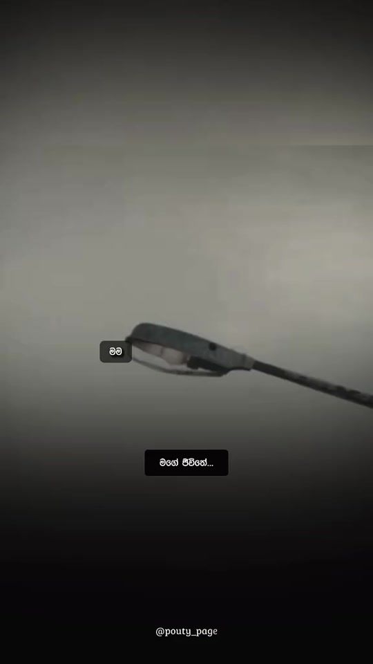 TikTok video thumbnail by pouty_page