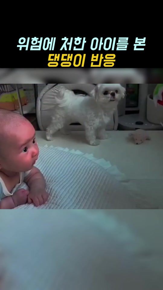 TikTok video thumbnail by _ddarami_