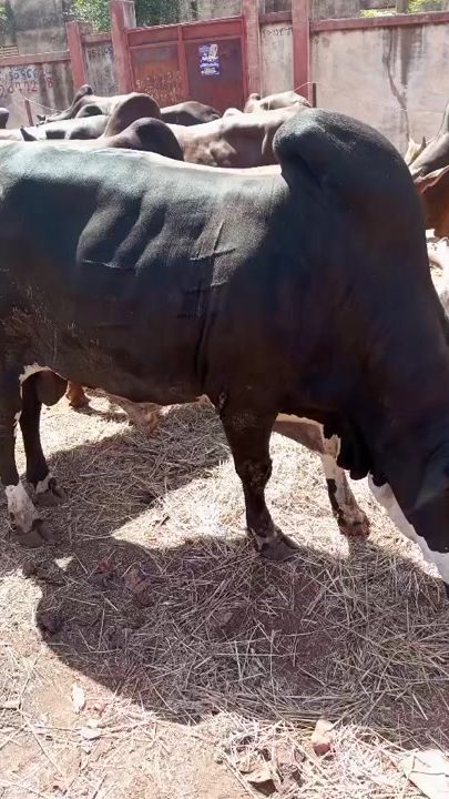 TikTok video thumbnail by user9845280076530