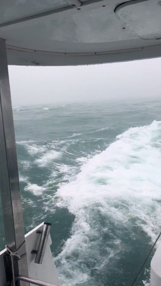TikTok video thumbnail by reelloose_adventures