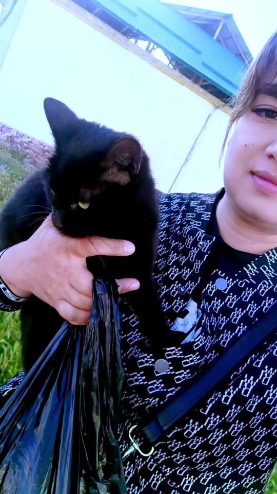 TikTok video thumbnail by sevarimmm