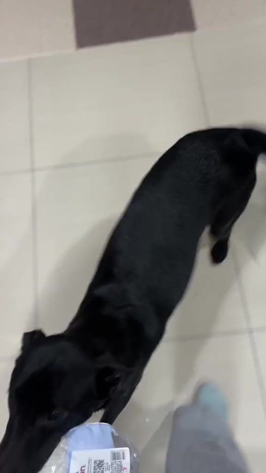 TikTok video thumbnail by pd_0115