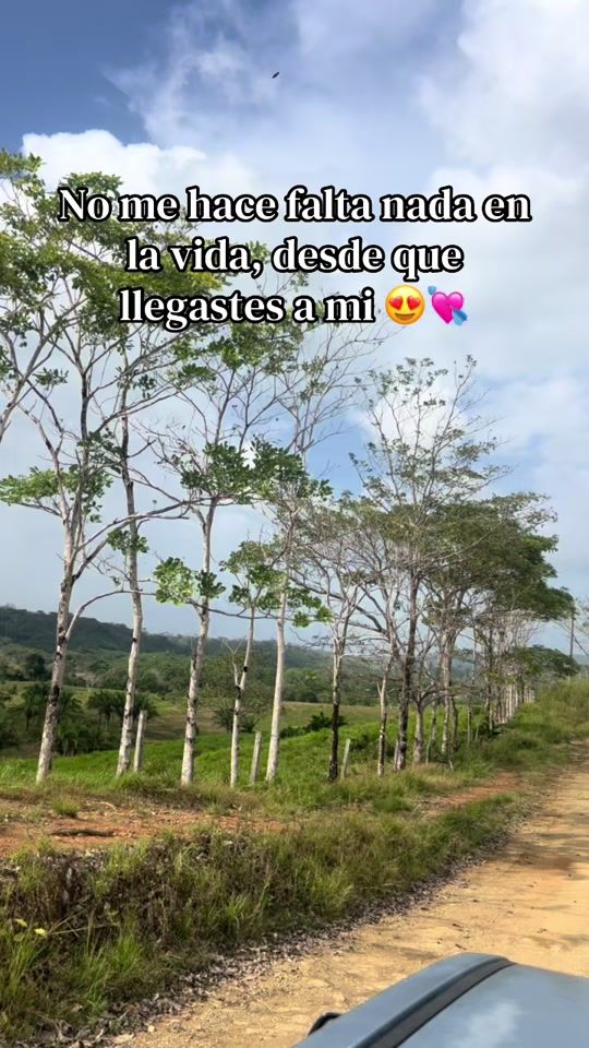 TikTok video thumbnail by x.la_risos15