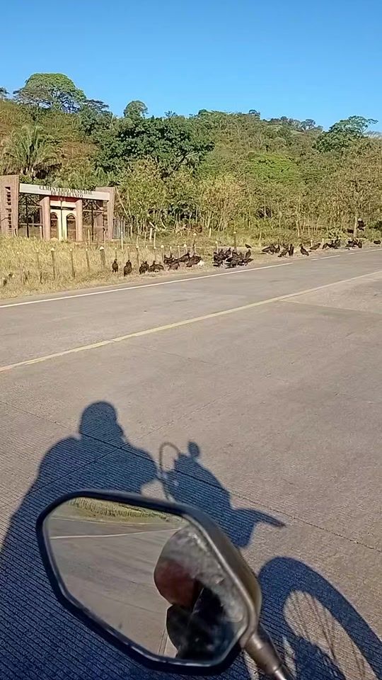 TikTok video thumbnail by omar.jose.bucardo