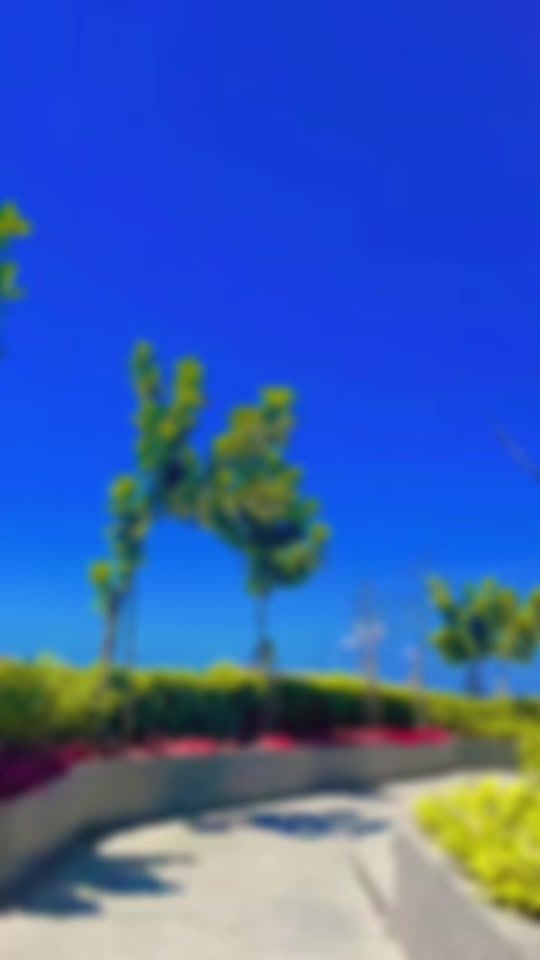 TikTok video thumbnail by kattechypxpx