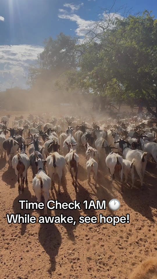 TikTok video thumbnail by obedben0