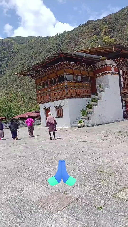 TikTok video thumbnail by wangmo205
