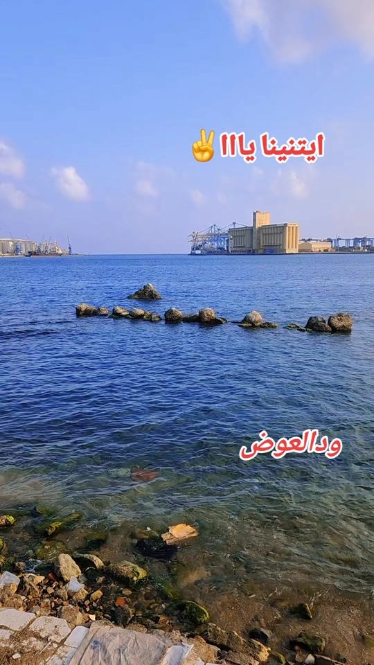 TikTok video thumbnail by ta_yfo_ur