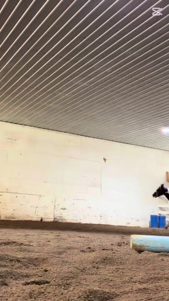 TikTok video thumbnail by hadzz421