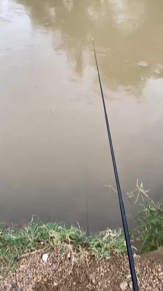 TikTok video thumbnail by limbonseu