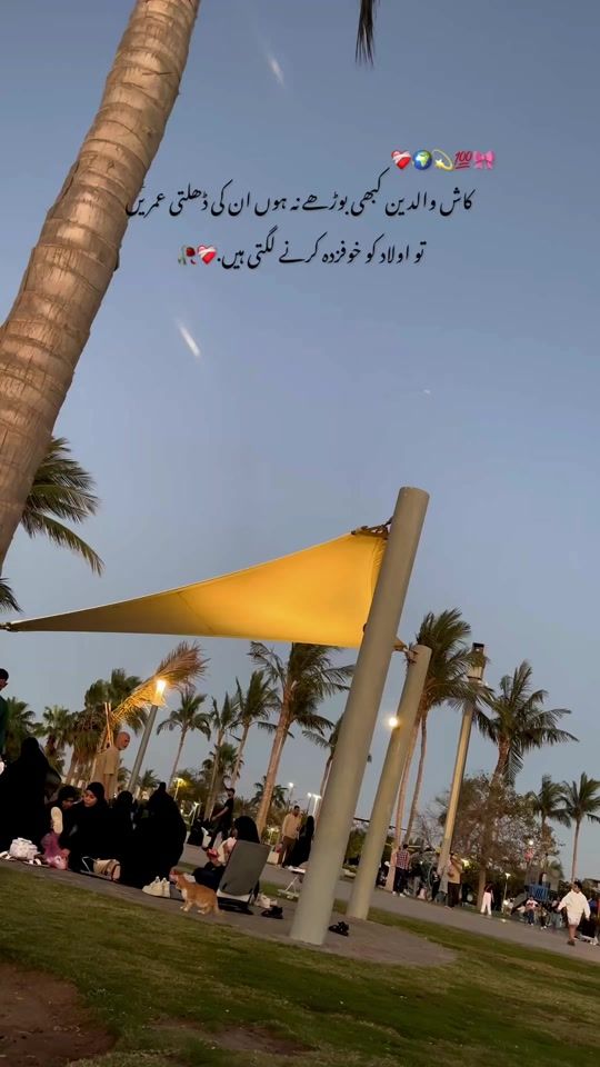 TikTok video thumbnail by black_luck18