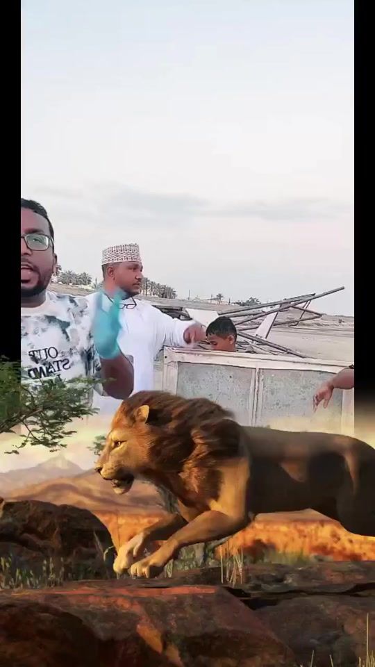 TikTok video thumbnail by jalale89