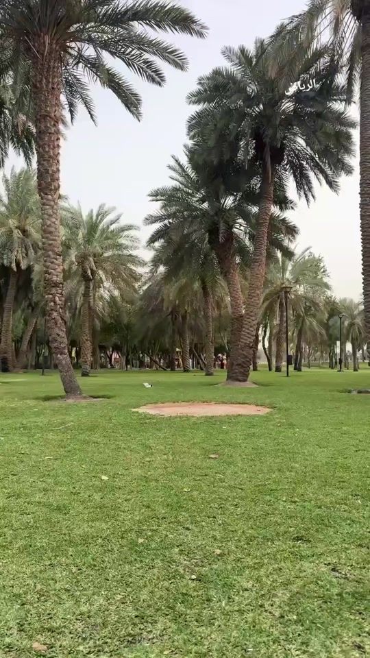 TikTok video thumbnail by mohamed_99k99