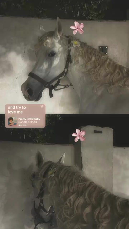 TikTok video thumbnail by zayid__