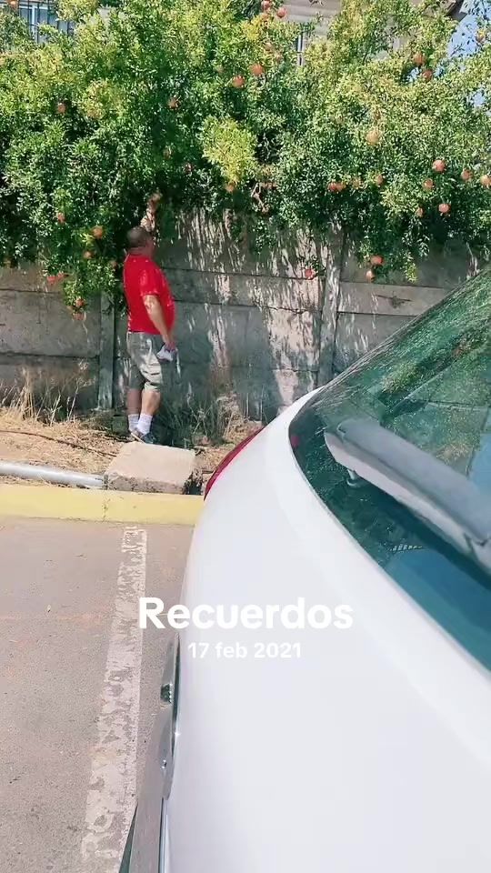 TikTok video thumbnail by losbotinis