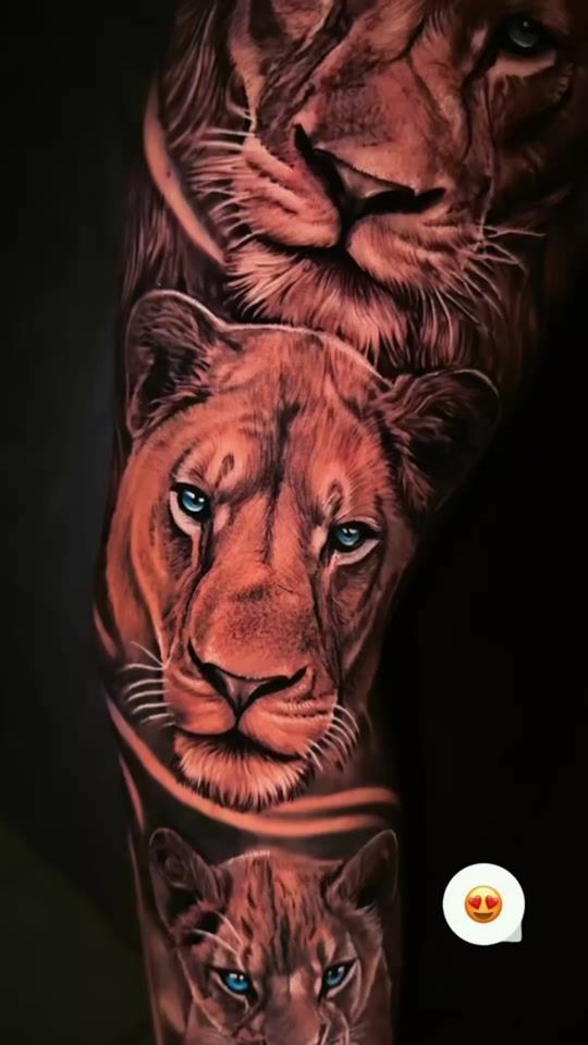 TikTok video thumbnail by roelitatto