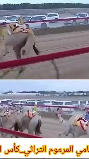 TikTok video thumbnail by ataadibaj25