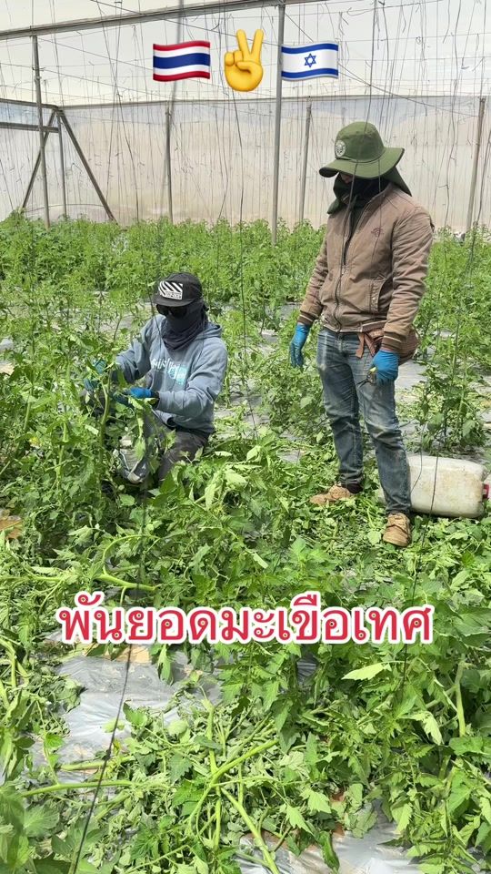 TikTok video thumbnail by hi.hihihio