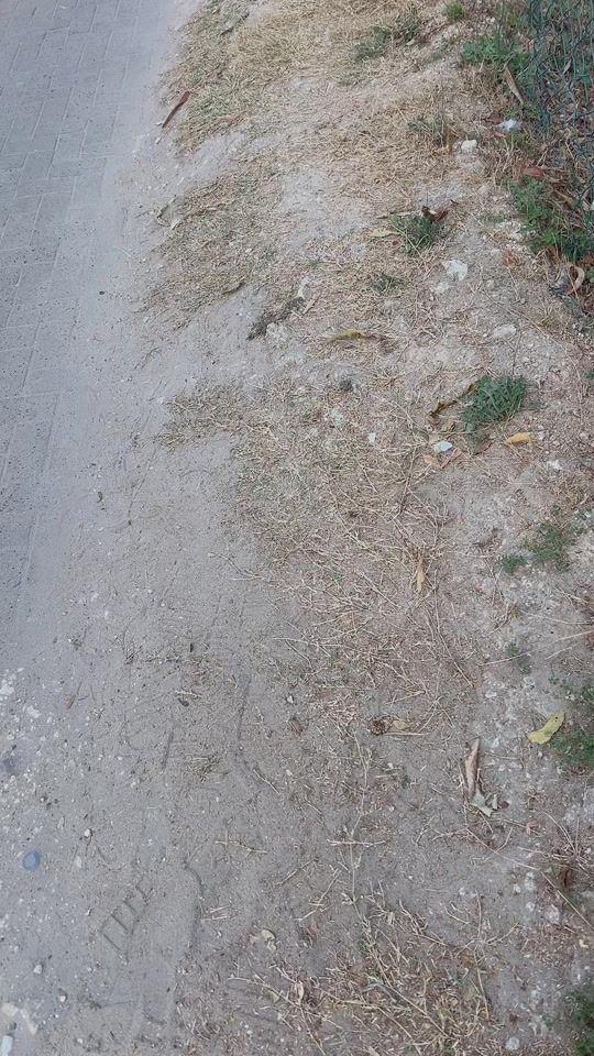 TikTok video thumbnail by chura_tz