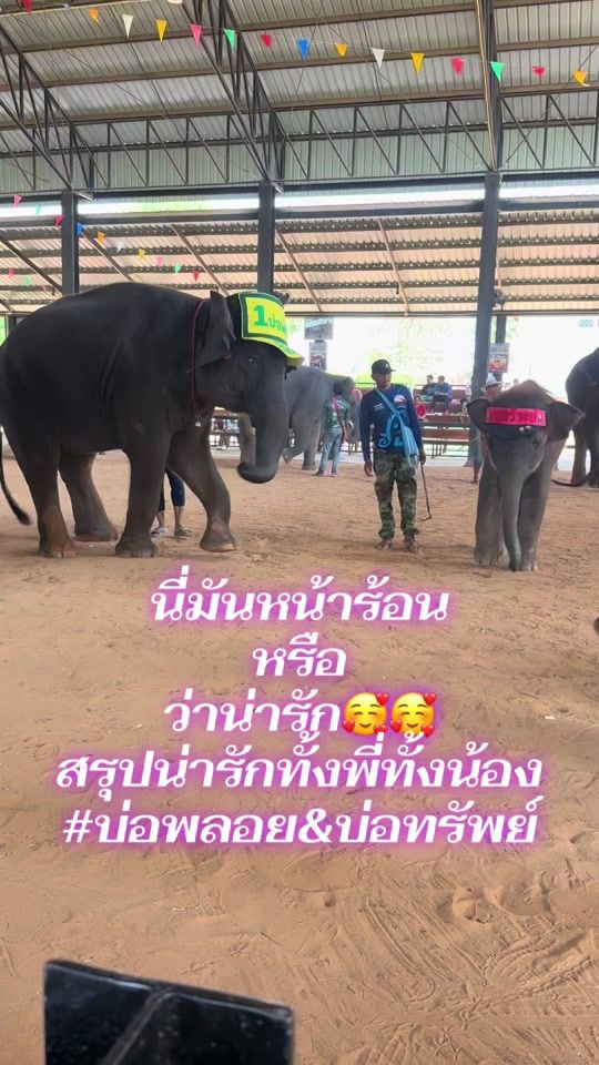 TikTok video thumbnail by borploy_family