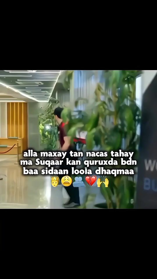 TikTok video thumbnail by 18_15_20_08