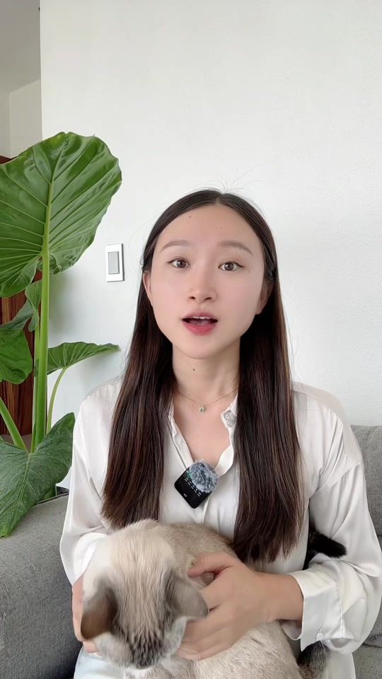TikTok video thumbnail by estelahao