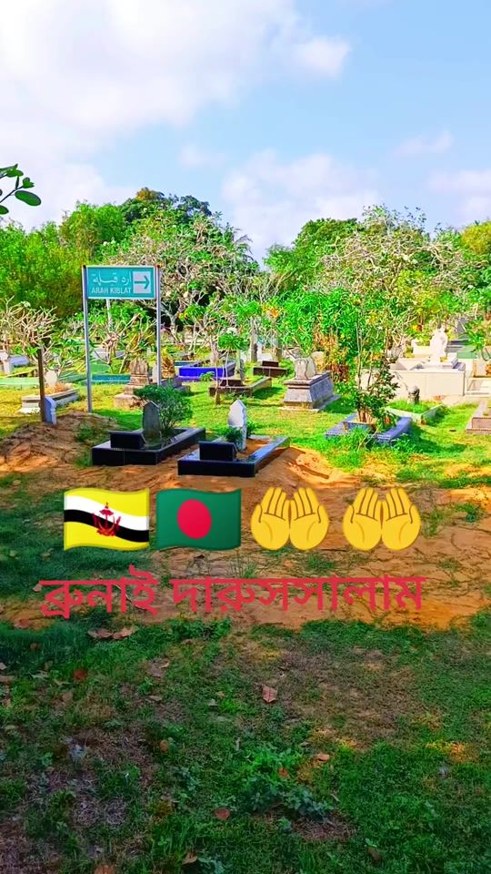 TikTok video thumbnail by md.zakir.hossain766