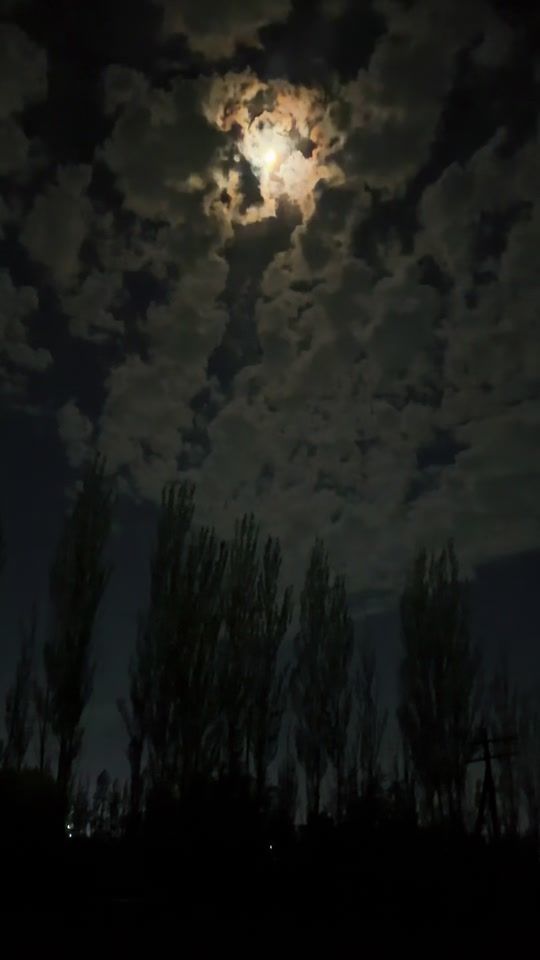 TikTok video thumbnail by stories_osh