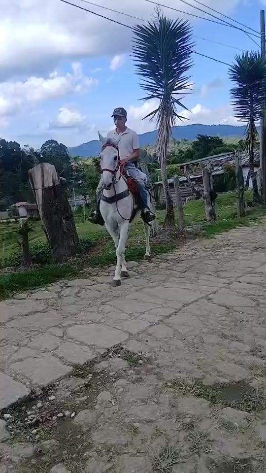 TikTok video thumbnail by coca.santiagoq