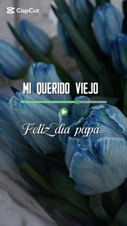 TikTok video thumbnail by fansjudithmurillo83