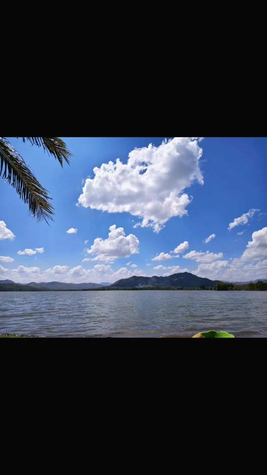 TikTok video thumbnail by 9812jane