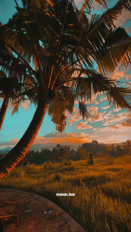 TikTok video thumbnail by minuto_flash