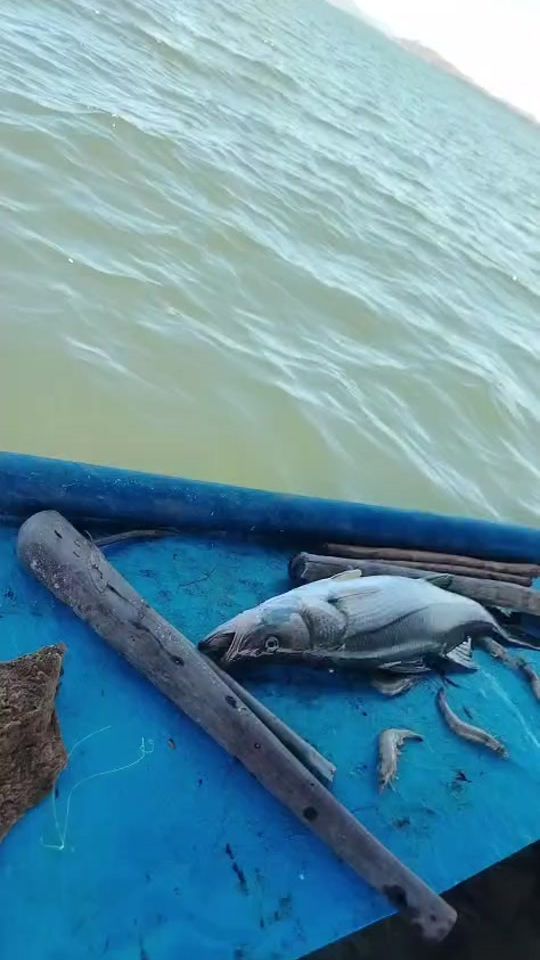 TikTok video thumbnail by benjaminperes19