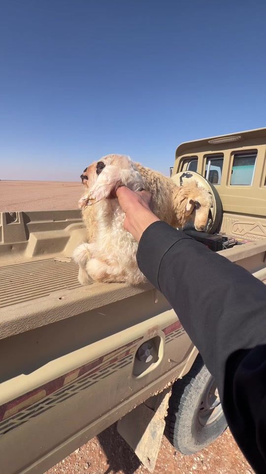 TikTok video thumbnail by cmr_6