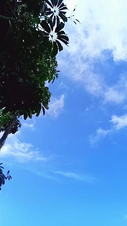 TikTok video thumbnail by stargirld07