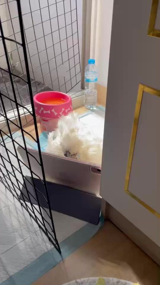 TikTok video thumbnail by amily_99