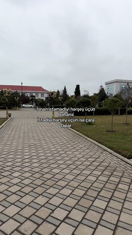 TikTok video thumbnail by qocalltdn